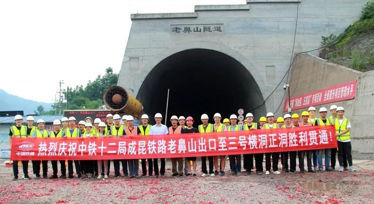 桥隧工程、武汉天宝耐特、二衬纵向连续灌注工艺、天宝SX10三维扫描仪